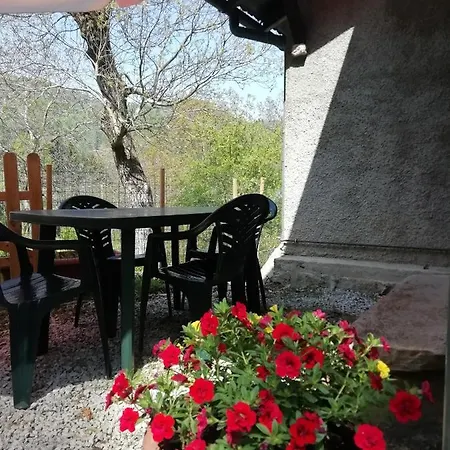Apartamento Niki *