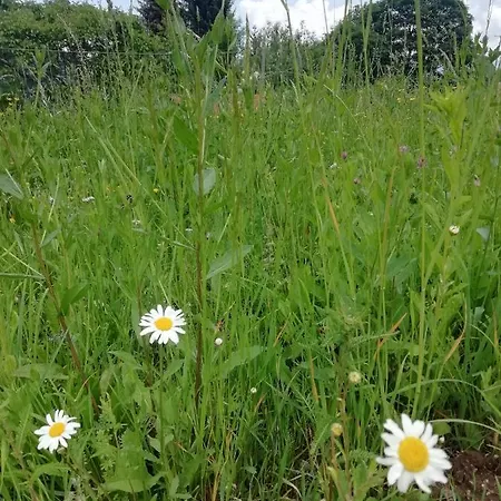 Niki Lägenhet Bellagio