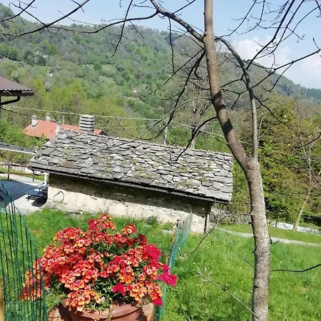 Niki Appartamento *